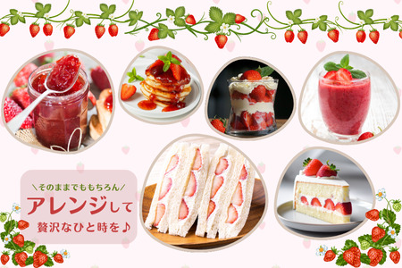 埼玉生まれの希少いちご『あまりん』（6～15粒、合計500ｇ以上）【潰れが気にならない方限定】　いちご あまりん いちご