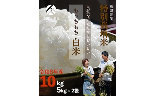 
                  令和8年産【先行予約】久保山百年米 特別栽培米 白米 10kg(5kg×2袋) 夢つくし/元気つくし【精米 お米 米 ご飯 ごはん ブランド 元気つくし 夢つくし 農家直送 福岡県 筑前町 BT058】
                