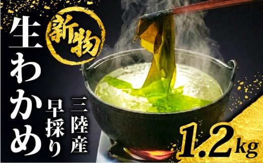 【採れてすぐ発送】 早採り生わかめ 新物 1.2kg(200g×6袋) 期間限定 ★2月上旬まで★ わかめ 早採りわかめ 生わかめ 三陸 漁師わかめ 小分け 若芽 湯通し 海藻 海産物 味噌汁 ごはん 夕飯 おかず 小分け 個包装 しゃぶしゃぶ サラダ お刺身 刺し身 刺身 綾里 岩手県 国産 大船渡