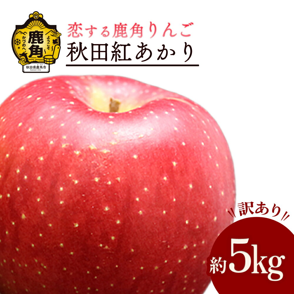 【ふるさと納税】《 先行予約 》 りんご 訳あり 秋田紅あかり 家庭用 約 5kg かづのりんご 食感 果汁 さっぱり リンゴ 完熟 旬 りんご 林檎 お中元 お歳暮 贈り物 お見舞い グルメ ギフト 故郷 秋田 あきた 鹿角市 鹿角 紅あかり 送料無料 【恋する鹿角カンパニー】