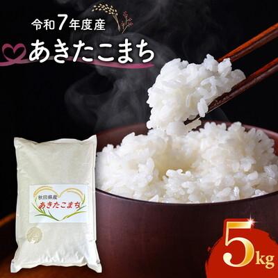 ふるさと納税 能代市 令和7年度産 あきたこまち 5kg 精米 秋田県産[No.5409-0021]