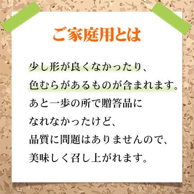 【2024年8月下旬より発送】ご家庭用　岡山県産　シャインマスカット　晴王　500g×2房【配送不可地域：離島】【1409698】