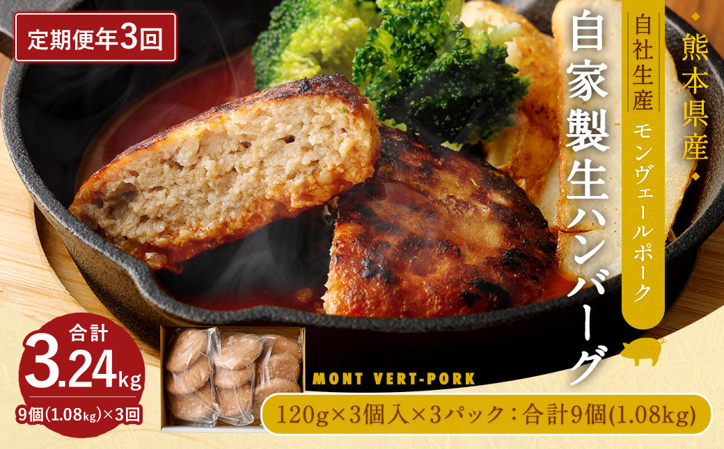 【 定期便 年3回 隔月】モンヴェールポーク 自家製生ハンバーグ 9個 120g×9個を3回お届け