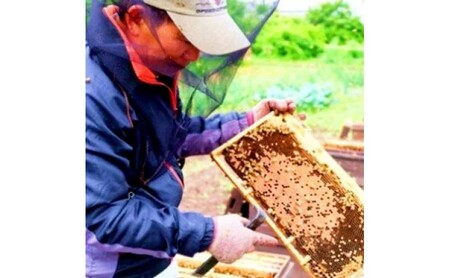 はちみつ 訳あり 巣蜜（約100g前後） 天然 国産 天然はちみつ 天然蜂蜜 天然ハチミツ 国産はちみつ 国産蜂蜜 国産ハチミツ 巣みつ 蜂蜜 ハチミツ 純蜂蜜 純ハチミツ フルーティー ハニー 限定