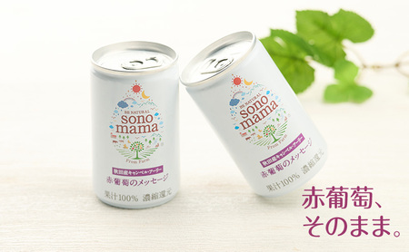 《 定期便 6ヵ月 》 赤葡萄ジュース「sonomama」（160g×5本）×1箱 ぶどう ブドウ ジュース ぶどうジュース 飲料