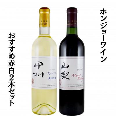 ふるさと納税 甲州市 ホンジョーワインおすすめ赤白2本セット　B13653
