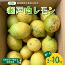 【ふるさと納税】大崎下島産 栽培期間中農薬不使用 瀬戸内レモン 3kg～10kg内容量が選べる 国産 広島県産 檸檬 レモン生産量日本一の広島 フレッシュレモン 朝採れ 朝収穫 産地直送 送料無料 果物 フルーツ ジュース ビタミンC 料理 爽やか スイーツ カクテル