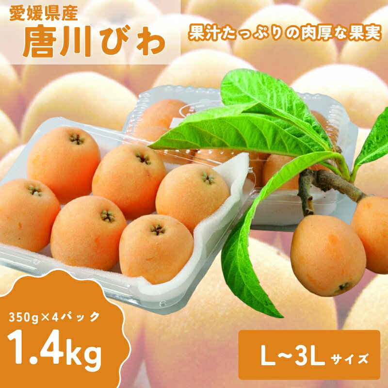 【ふるさと納税】びわ 唐川びわ 350g×4パック 約1.4kg L～3Lサイズ 季節限定 数量限定 フルーツ 果物 愛媛県産 枇杷 旬 手作業 生産者直送 甘い 程よい酸味 お取り寄せ 愛媛県 伊予市 | B126