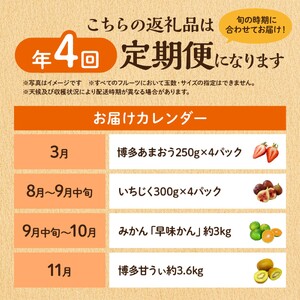 【定期便/年４回】フルーツ 旬の福岡フルーツ定期便_HB0087