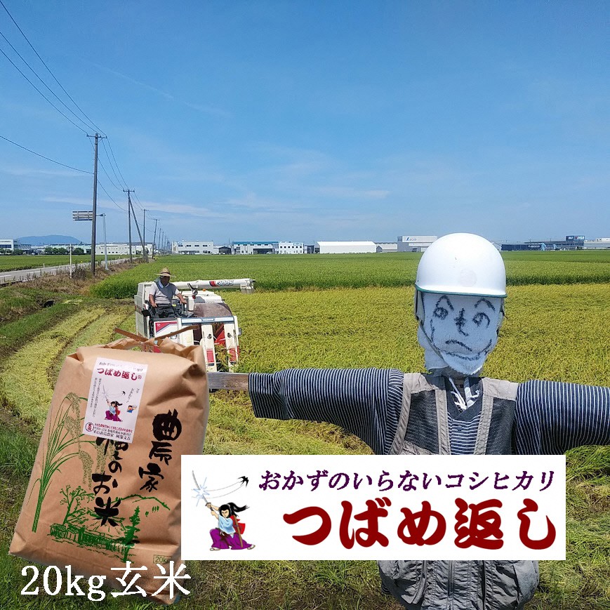 
                  【令和8年産米予約受付中】おかずのいらないコシヒカリ「つばめ返し」玄米20kg FC049004
                