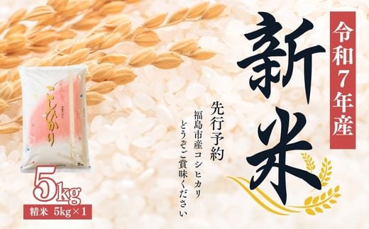 No.2382大文字屋米穀店【令和7年産新米　先行予約】コシヒカリ精米 5kg