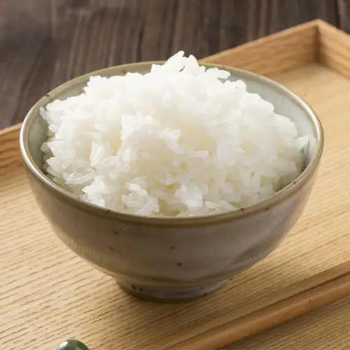 【令和7年産】茨城県産コシヒカリ10kg（5kg×2袋）精米 JA茨城むつみ ／ こしひかり 令和7年 新米 米 お米 おこめ こめ コメ 精米 白米 ご飯 国産米 10kg 10キロ おいしい お取