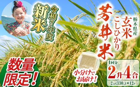 【ふるなび限定】【数量限定】【令和7年度新米】新米那珂川町産芳井米 玄米 330g（2合分）×12 | こしひかり 新米 米 ごはん  ふっくら もちもち  ふるさと納税 那珂川町 栃木県