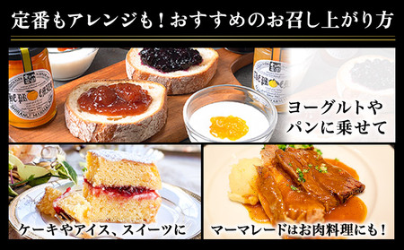 阿蘇 木之内農園 プレミアムシリーズ 3本セット 1本 150g×3 いちご ブルーベリー 不知火マーマレード《30日以内に出荷予定(土日祝を除く)》 熊本県 南阿蘇村 ジャム いちご ブルーベリー 