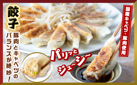 【お歳暮】餃子＆「観音池ポーク」プレーン・チーズメンチカツのセット≪11月17日～12月21日お届け≫_AA-9231-WG_(都城市) 国産豚使用 餃子 観音池ポーク プレーンメンチカツ/チーズメン