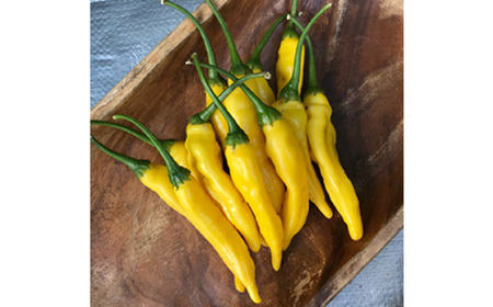 No.417 秩父黄金カボスコ＆フルーツワイン　白：リンゴ、ブドウ、ミカン、カボス