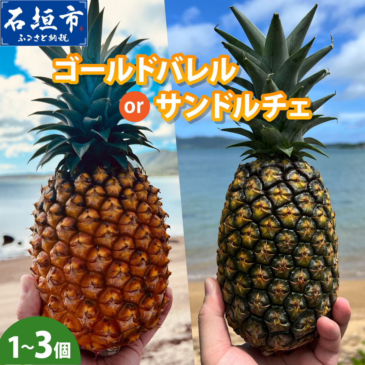 【ふるさと納税】選べる種類・容量！《2027年6月〜7月以降順次発送》黄金の芳醇 ゴールドバレル or 南風香 サンドルチェ | パイン パイナップル フルーツ トロピカル ふるさと納税 ふるさと 沖縄県 沖縄 石垣 石垣島 石垣市 人気