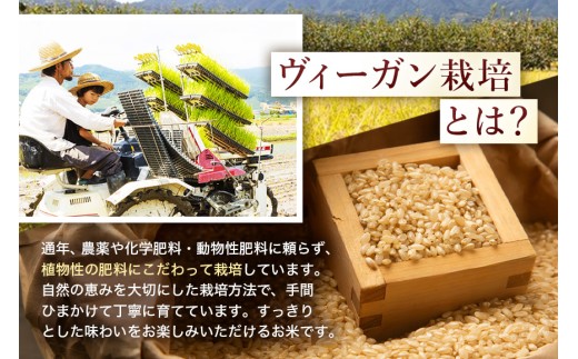 【ふるさと納税】令和8年度産 新米 玄米 ひのひかり 10kg 12ヶ月定期便 自然栽培 農薬不使用 米 お米 国産 ご飯 ごはん こめ コメ ヒノヒカリ 健康 食物繊維 腸活 ヘルシー 自然食品 ヴ