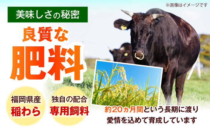 【訳あり】博多和牛 一口ステーキ 約300g《築上町》【肉のくまもと屋】 [ABEZ080]