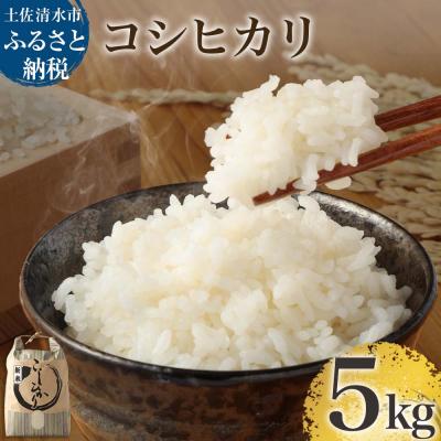 ふるさと納税 土佐清水市 令和7年産 新米 コシヒカリ精米5kg(1袋) R01408