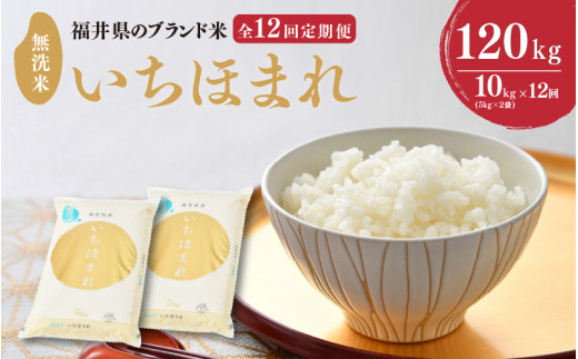 【令和7年産】 定期便 ≪12ヶ月連続お届け≫ 福井県のブランド米 いちほまれ 無洗米 10kg × 12回 計120kg 【 無洗米 人気 品種 ブランド米 特A 】 [Q-6103]