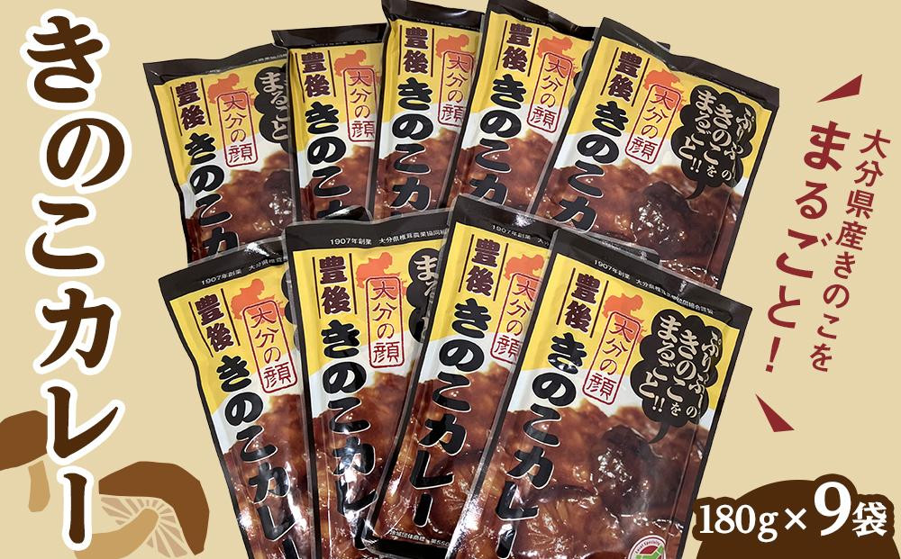 
大分県産きのこをまるごと！豊後きのこカレー 180g×9袋 セット
