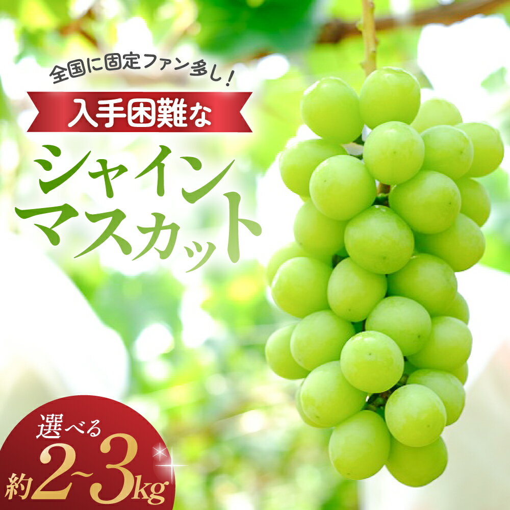 【ふるさと納税】【2025年発送】 シャインマスカット 2kg～3kg 2房～6房 先行予約 先行 予約 山梨県産 国産 産地直送 人気 おすすめ 贈答 ギフト お取り寄せ フルーツ 果物 くだもの ぶどう ブドウ 葡萄 新鮮 甘い 皮ごと 種なし 甲斐市 N-5