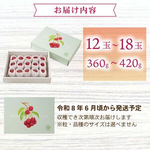 【令和7年6月中旬頃より発送】生ライチ 国産 室戸海洋深層水使用 ライチ 果物 化粧箱入り 贈答用
