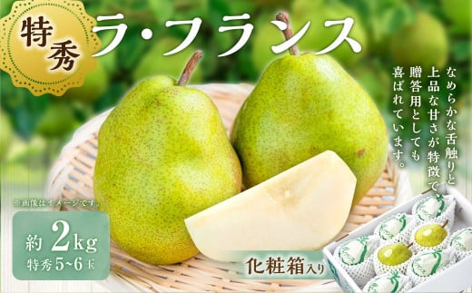 ラ・フランス （特秀) 2kg【化粧箱入り】 山形県産 フルーツ 果物 【2025年11月上旬-12月上旬発送予定】
