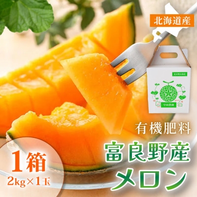 
                  ＜糖度15度以上 赤肉メロン＞富良野産 特秀品メロン 2kg×1玉1箱|北海道富良野市 7～8月発送【1302066】
                