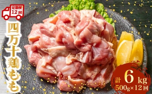 
                  【定期便12回】銘柄鶏 四万十鶏 もも肉 計6kg（500g×12ヶ月連続お届け) 4Wコース | 切身 カット 時短 小分け カット済み 鳥肉 とりにく 鶏もも 冷凍 国産 ブランド 唐揚げ 煮物 鍋 チキン 南蛮 高知県 須崎市 TM103000
                