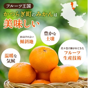 【先行予約】希少種みかん はれひめ 秀品 約5kg (25個～30個)  ※2026年12月中旬～2027年2月初旬頃に順次発送予定（お届け日指定不可）| 和歌山 みかん ミカン はれひめ フルーツ 