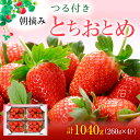 【ふるさと納税】つる付き とちおとめ 4パック（3月～5月発送） いちご 果物 フルーツ 苺 イチゴ くだもの 朝取り 新鮮 美味しい 甘い　お届け：2025年3月1日～5月10日まで