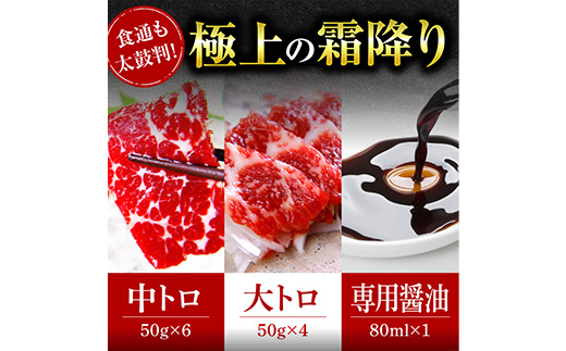 【国産】 熊本 馬刺し 極上の霜降り 食べ比べ セット 計500g ＜ 中トロ 50g×6 / 大トロ 50g×4 ＞ 専用タレ80ml付き 冷凍 小分け パック 058-0684