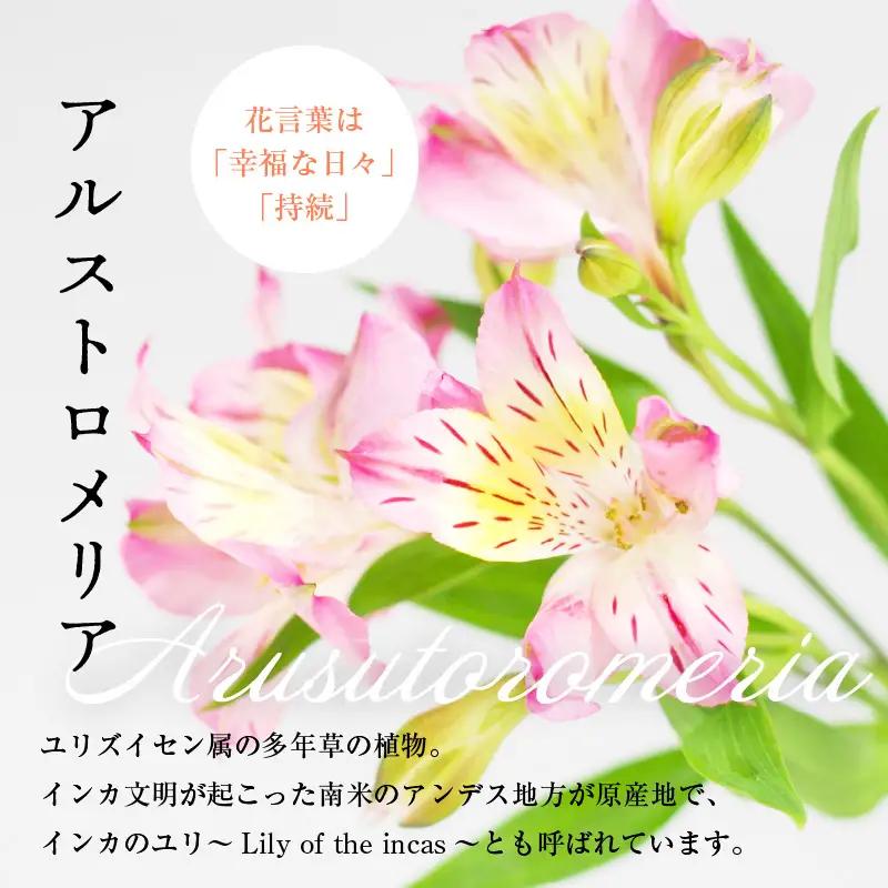 アルストロメリア 色おまかせ 1束 10本入り 花 生花 切花