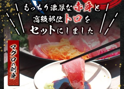 【2月発送】本マグロ（養殖）トロ＆赤身セット 500g まぐろ 刺身 鮪 本鮪 クロマグロ 赤身 中とろ 【nks110_cp-2】