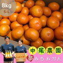 【ふるさと納税】O-167 中尾農園の夢みるみかん（S-L）8kg　果物　くだもの　ビタミン