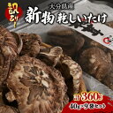 【ふるさと納税】訳あり！大分県産新物乾しいたけ 40g×9袋セット