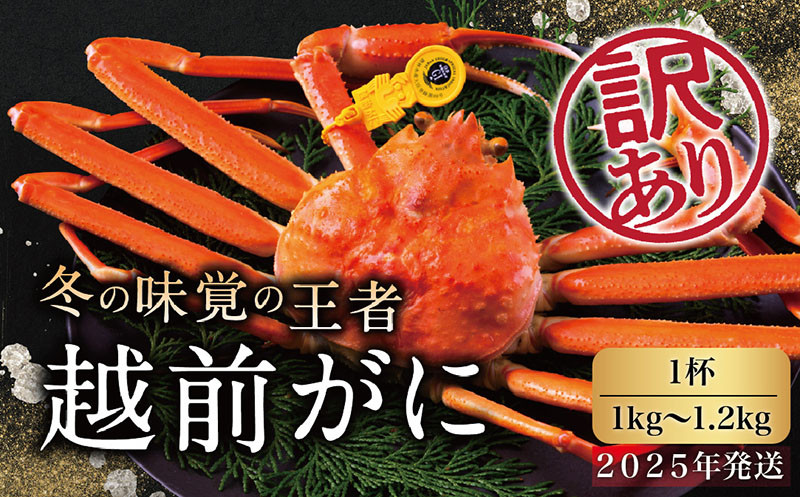 
【2025年発送・指定日着可】越前がに（オス）「ずわいがに」特大（1.0-1.2kg） 訳あり 1杯
