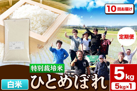 《定期便10ヶ月》令和7年産【白米】特別栽培米 ひとめぼれ 5kg 秋田県産 [ひとめぼれ 米 お米 白米 精米 特別栽培米 ブランド米 食卓 秋田県産 秋田県 由利本荘市]