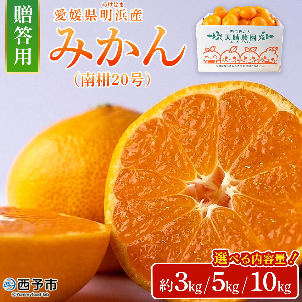 【ふるさと納税】＜みかん（南柑20号）贈答用 約3kg 5kg 10kg＞ 果物 くだもの フルーツ ミカン 柑橘 温州みかん うんしゅうみかん 贈答 ギフト プレゼント 特産品 株式会社笑丸 愛媛県 西予市【常温】『2025年12月上旬～2026年1月上旬迄に順次出荷予定』