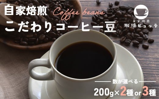 
            自家焙煎珈琲 こだわり コーヒー豆 400g/600g （200g/袋） | コーヒー 珈琲 coffee 自家焙煎 焙煎 オリジナルブレンド 新鮮 豆 珈琲豆 コーヒー豆 休憩 一息 休日 豆のまま直送 舞鶴 京都 京都府 舞鶴市
          