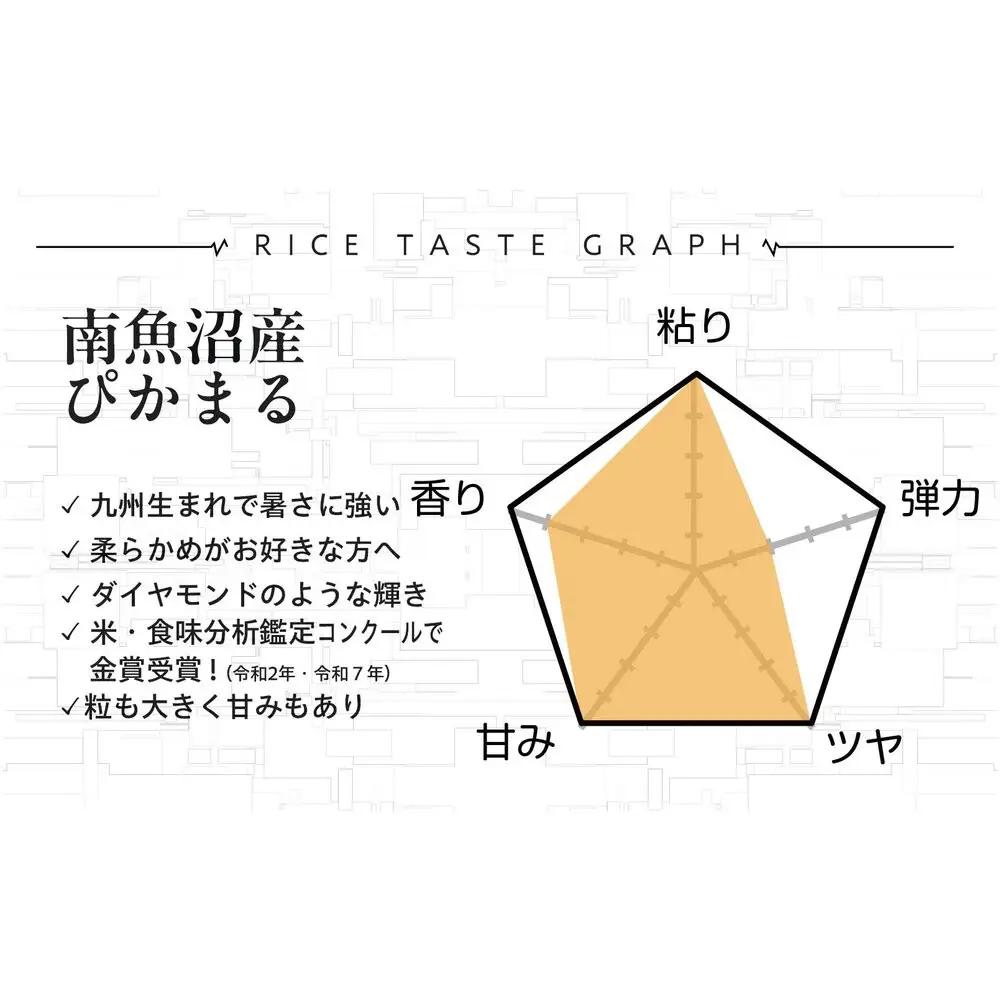 定期便【令和8年新米予約】精米5kg×6回 南魚沼産ぴかまる 金賞受賞（米・食味分析鑑定コンクール）＜6ヶ月定期便＞農家直送_AG【令和8年11月上旬から1ヶ月以内に順次発送予定】| 新米