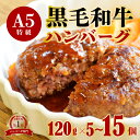 【ふるさと納税】 訳あり 選べる個数 国産 A5 黒毛和牛 手ごね ハンバーグ120g×5~15個 小分け 個包装 冷凍 牛肉 お弁当 高級 ギフト 人気 ワケアリ 贈答用 ジューシー 美味しい おすすめ レシピ 簡単 焼き方 10000円 一万