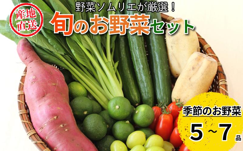 
                  旬のエシカル野菜5～7種セット 野菜 おまかせ 新鮮 採れたて 産地直送 やさい とうもろこし トマト 減農薬 きのこ オクラ 玉ねぎ 美味しい 小松島市
                