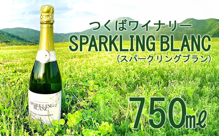 つくばワイナリー SPARKLING BLANC (スパークリングブラン) │ ワイン ワイン ワイン ワイン ワイン