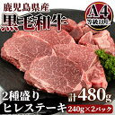 【ふるさと納税】4等級以上鹿児島県産黒毛和牛ヒレステーキ2種盛り480g 国産 鹿児島県産 牛 牛肉 ヒレ ヒレ肉 ステーキ 冷凍【カミチク】