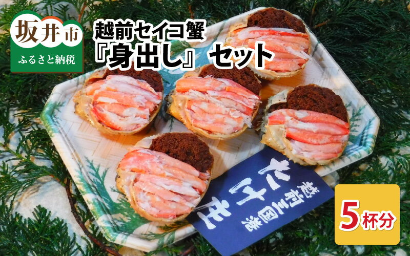 【ふるさと納税】越前セイコ蟹『身出し』セット 5杯分【2025年11月〜発送開始】【三国 坂井市 せいこがに セイコガニ ズワイガニ ずわい蟹 かに 殻むき不要】