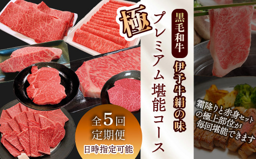 全5回定期便 黒毛和牛 伊予牛 絹の味 ★極★ 伊予牛絹の味 極プレミアム 堪能コース　愛媛県西条市 青野精肉店 【配送日時指定可・冷蔵】 ※関東以北・沖縄へのお届けは冷凍  | 黒毛和牛 A4～A5 お肉 牛肉 国産肉 国産牛肉 肉 和牛 おにく グルメ お取り寄せ おすすめ 国産 愛媛県 西条市 すき焼き ステーキ 焼肉 しゃぶしゃぶ