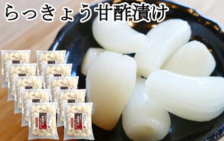 ふぞろいらっきょう甘酢漬け 190gｘ10袋 【低温熟成 無添加】
